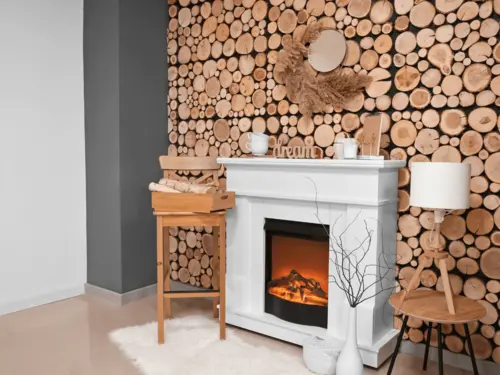 Electric and Gas Fireplaces Electric and Gas Fireplaces